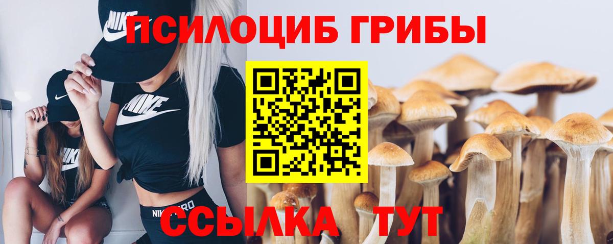 Когалым  Галлюциногенные грибы Cubensis  Вход с VPN 