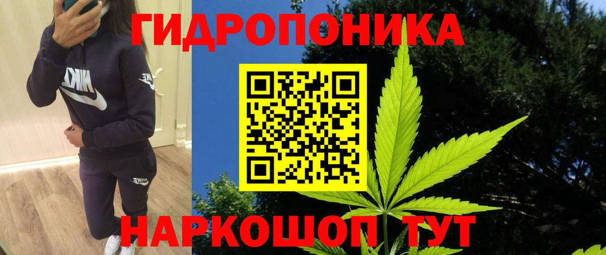 Бошки марихуана ГИДРОПОН  Канабис семена  Вход с VPN  Конопля гибрид  Когалым 